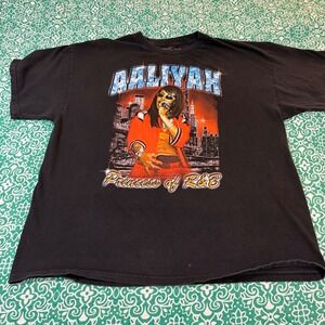 Aaliyah Princess of R&B Graphic T-Shirt Ripple Junction Black Mens 2X Cotton